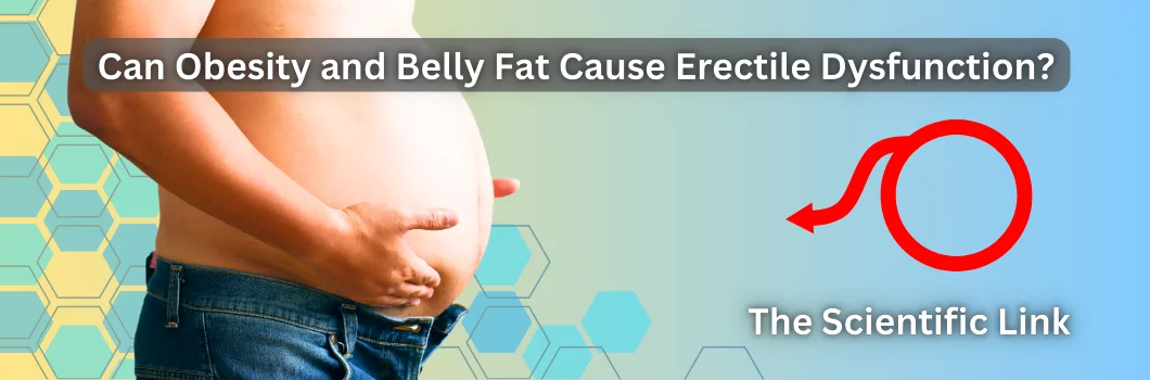 Can Obesity and Belly Fat Cause Erectile Dysfunction? The Scientific Link