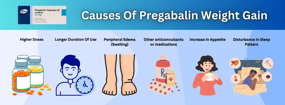 Why Does Pregabalin Cause Weight Gain