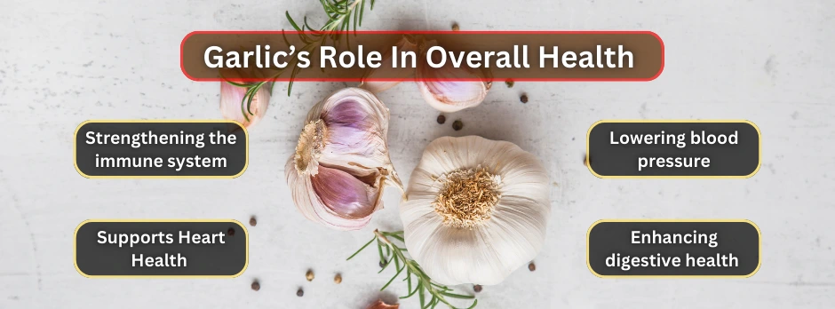 Garlic’s Role In Overall Health