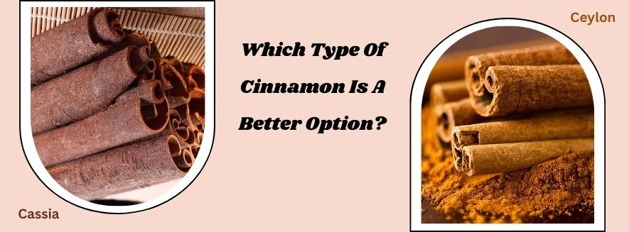 Which Type Of Cinnamon Is A Better Option?