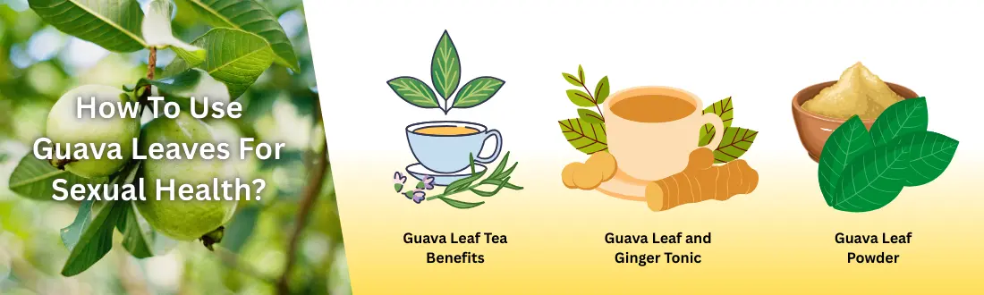 guava-leaf-benefit