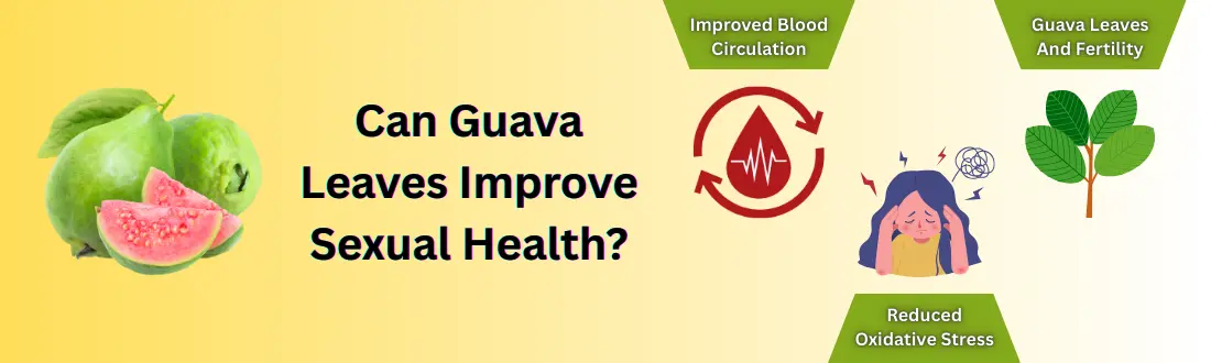 guava-leaf-improve-sexual-health-benefit
