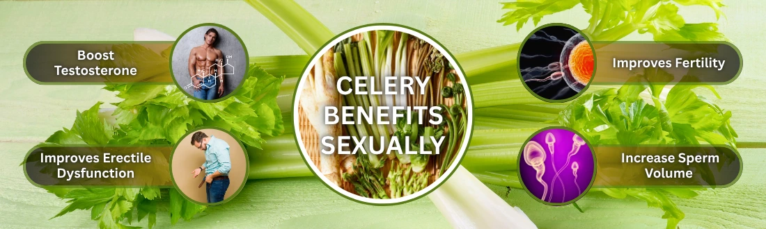 Celery And Testosterone