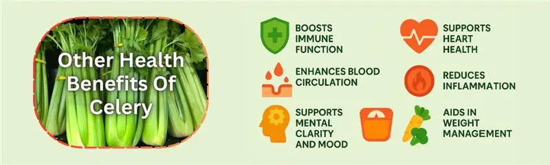 Other Health Benefits Of Celery 