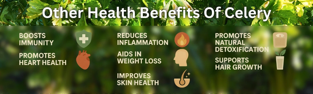 Other Health Benefits Of Celery 