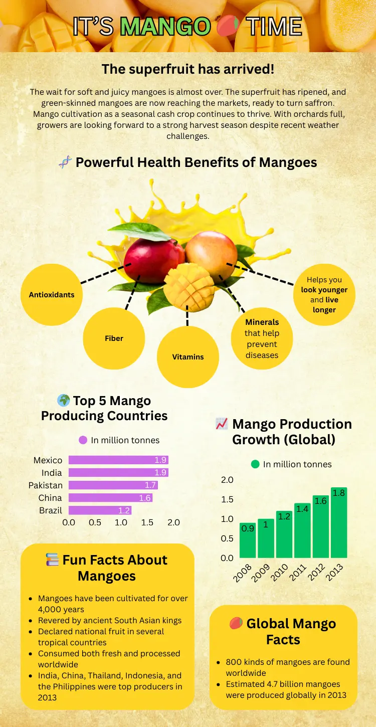 sexual benefits of mango infographics