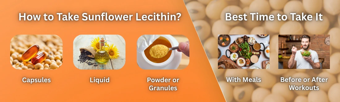 How to Take Sunflower Lecithin?