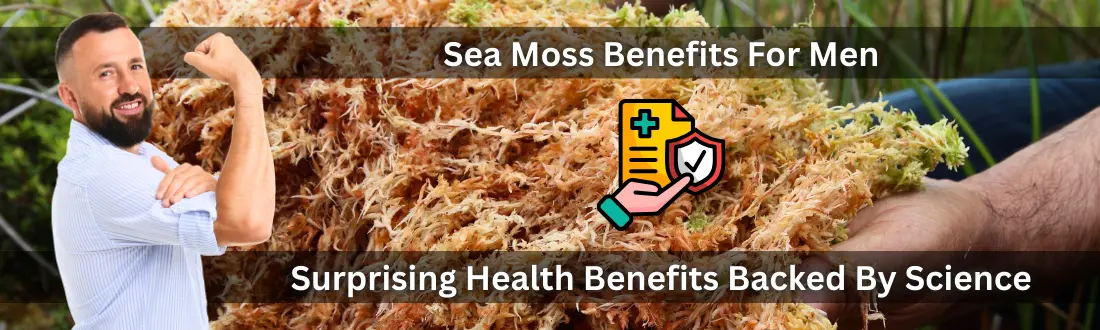 Sea Moss Benefits For Men